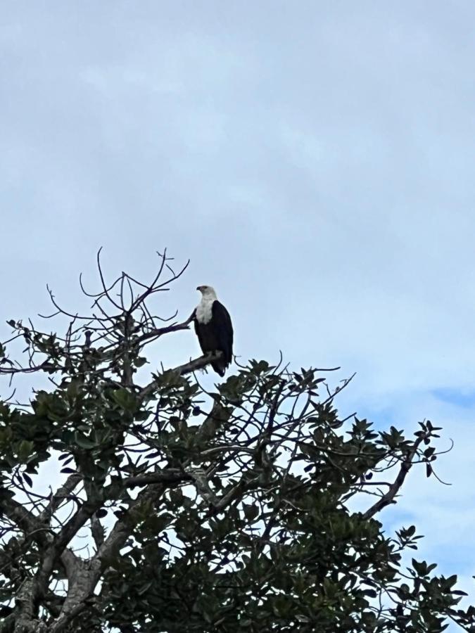 Whalesong Guest House Saint Lucia Estuary Εξωτερικό φωτογραφία