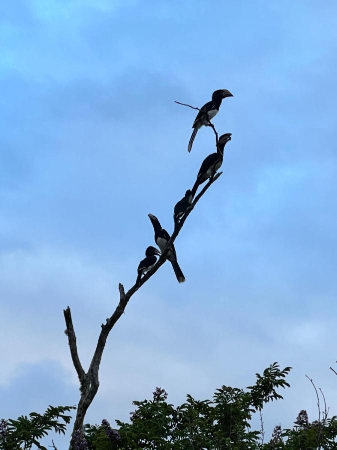 Whalesong Guest House Saint Lucia Estuary Εξωτερικό φωτογραφία