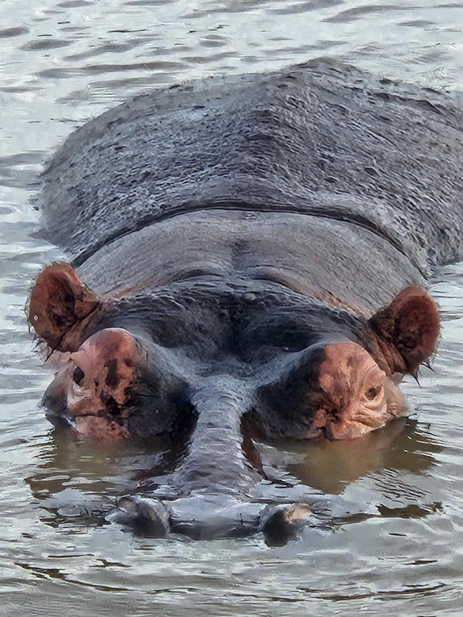 Whalesong Guest House Saint Lucia Estuary Εξωτερικό φωτογραφία